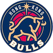 明尼苏达森林狼